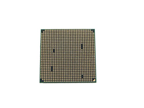 AMD Sempron 145 2.8 GHz Single-Core OEM/Tray Processor - Image 3